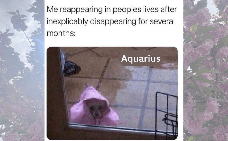 Meme that reads "Me reappearing in peoples lives after inexplicably disappearing for several months:" with a photo of a small dog in a pink raincoat looking in a window and standing in the rain.