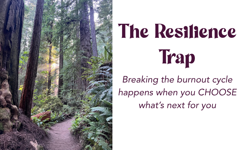 Picture of rays of sunlight coming through a forest of redwood trees and other forest plants. Next to this image it reads The Resilience Trap : What Nobody Tells High-Achieving Women About Burnout, Recovery, and Choosing What's Next.